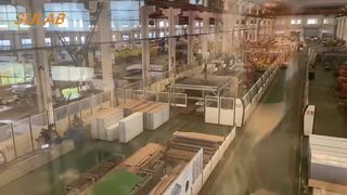 آسانسور غلتکی راهنمای کفش سواری روان